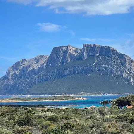 Wanna's Olbia