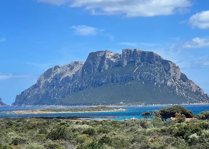 Wanna's Olbia