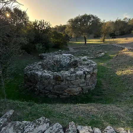 Apartamento Wanna's Olbia